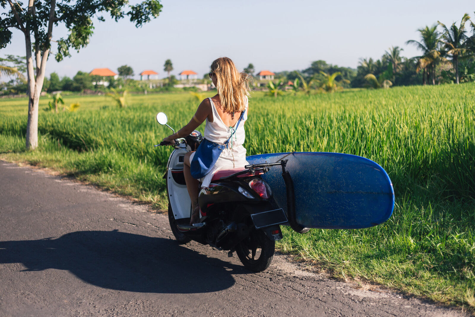 Surfer riding a scooter past the rice fields with a board at her side